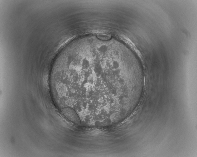 X0000115440249200911251252