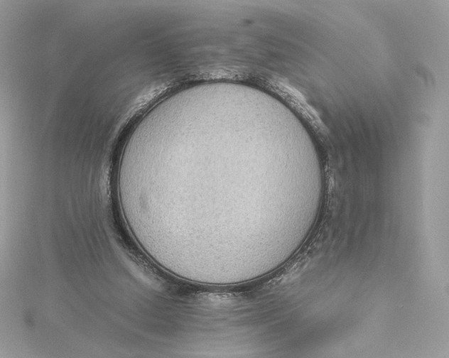 X0000115440250200911251252