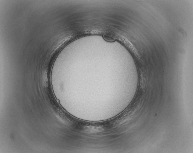 X0000115440251200911251252