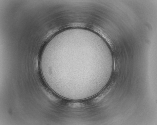 X0000115440253200911251252