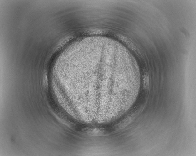 X0000115440254200911251252