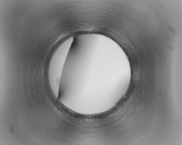 X0000115440256200911251252