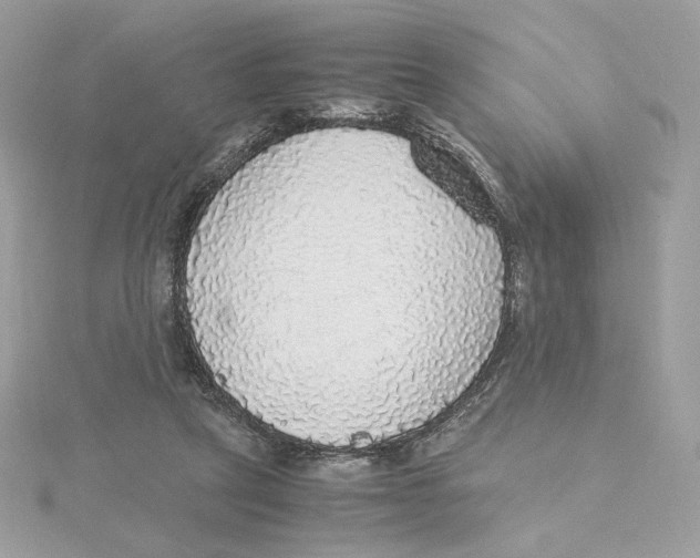 X0000115440257200911251252