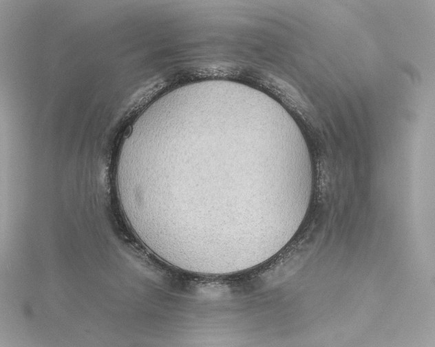 X0000115440258200911251252