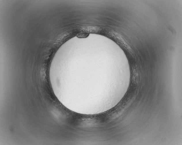 X0000115440259200911251252