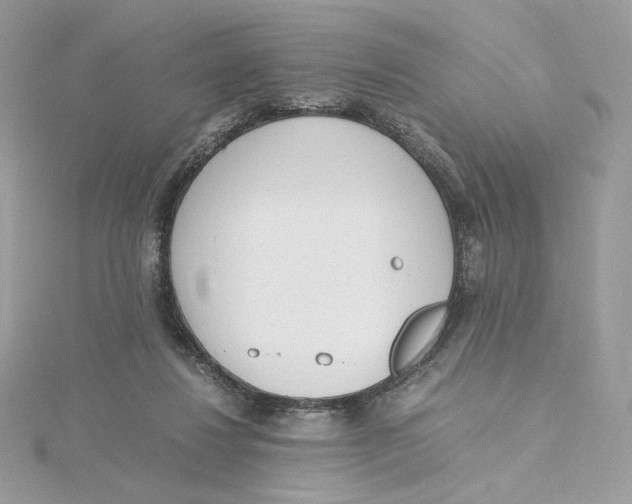 X0000115440260200911251252