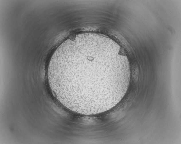 X0000115440261200911251252