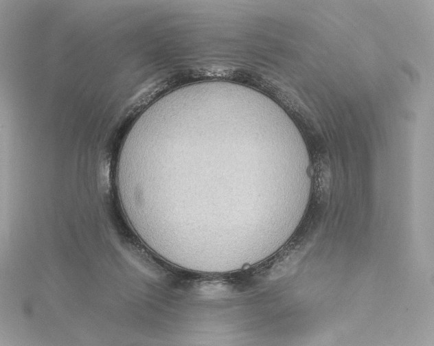 X0000115440262200911251252