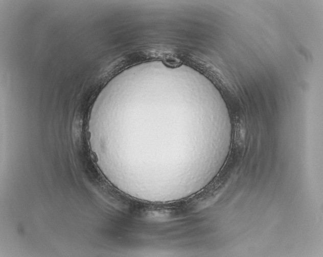 X0000115440263200911251252