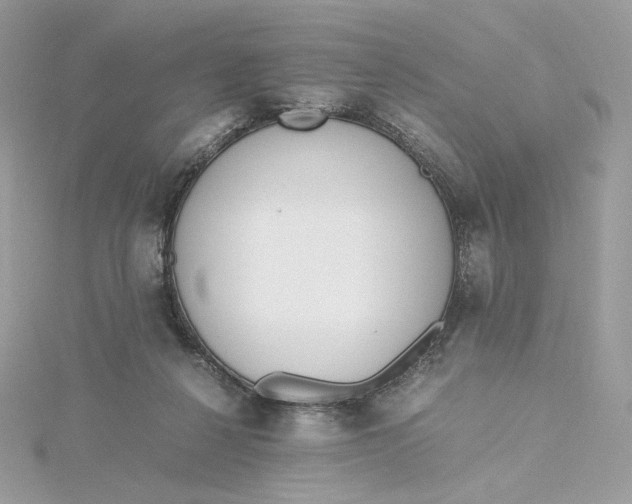 X0000115440264200911251252