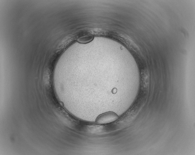 X0000115440266200911251252