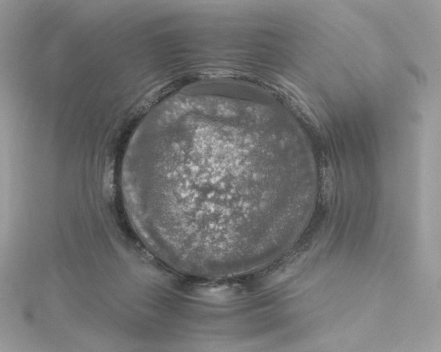 X0000115440267200911251252