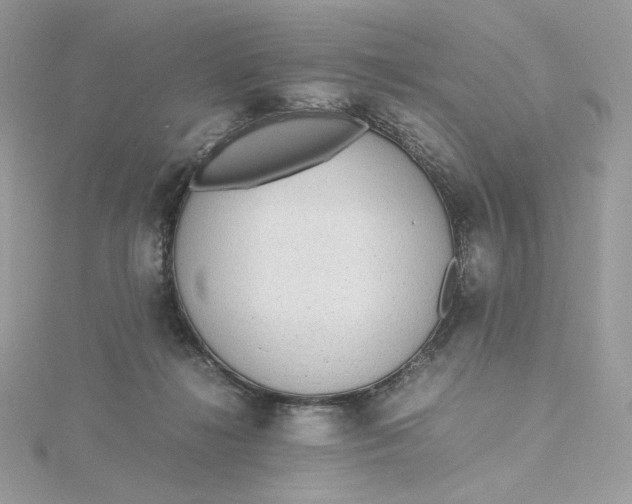 X0000115440268200911251252