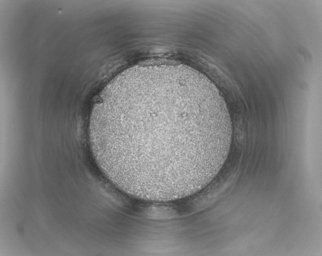 X0000115440270200911251252