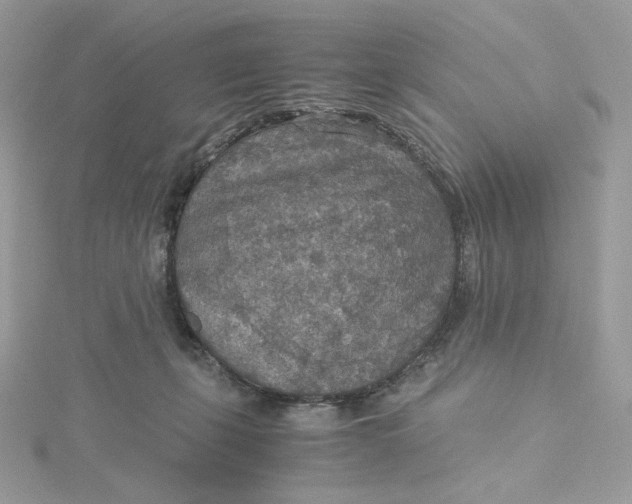 X0000115440271200911251252