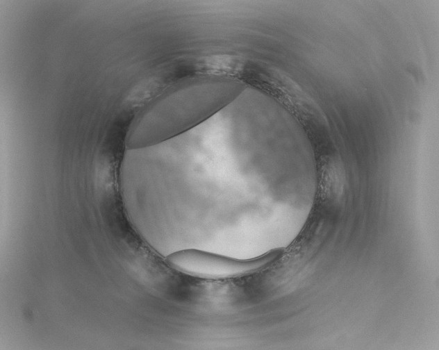 X0000115440272200911251252