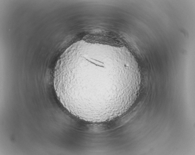 X0000115440273200911251252