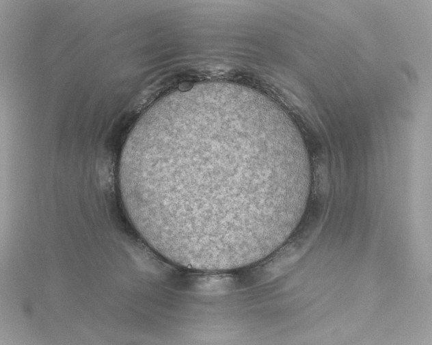 X0000115440274200911251252