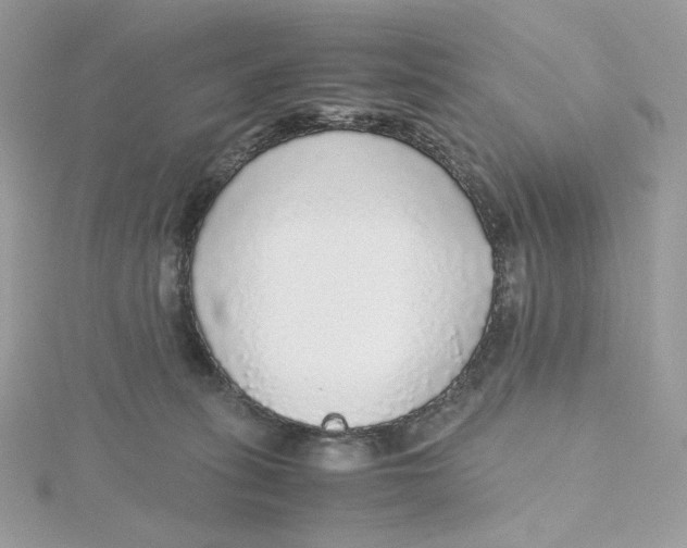 X0000115440275200911251252