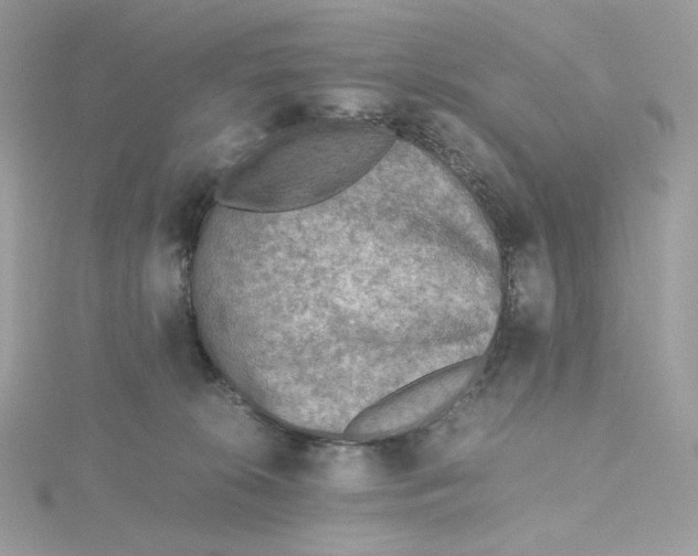 X0000115440276200911251252