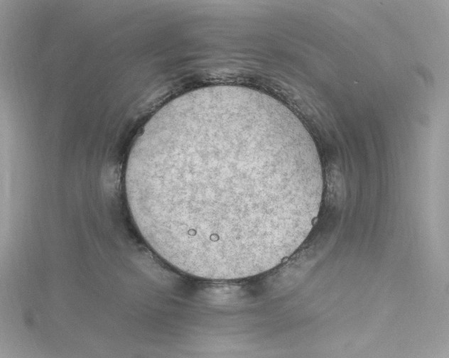 X0000115440278200911251252