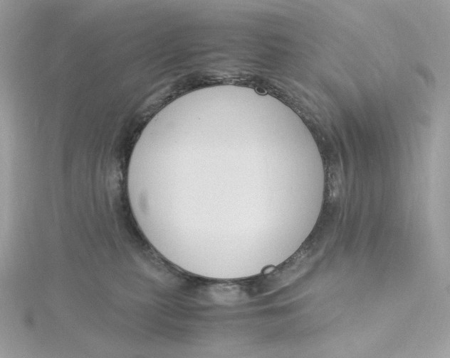 X0000115440279200911251252