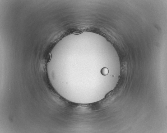 X0000115440280200911251252