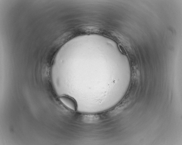 X0000115440281200911251252