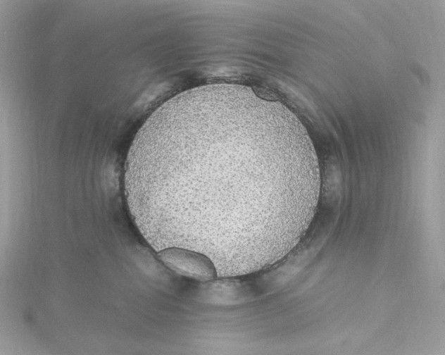 X0000115440282200911251252