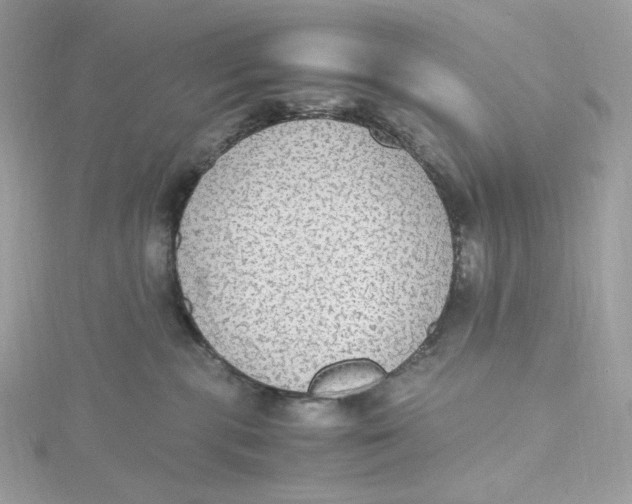 X0000115440283200911251252