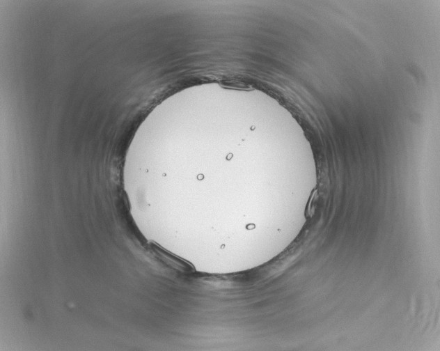 X0000115440284200911251252