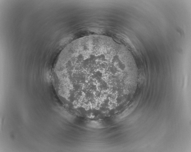 X0000115440285200911251252