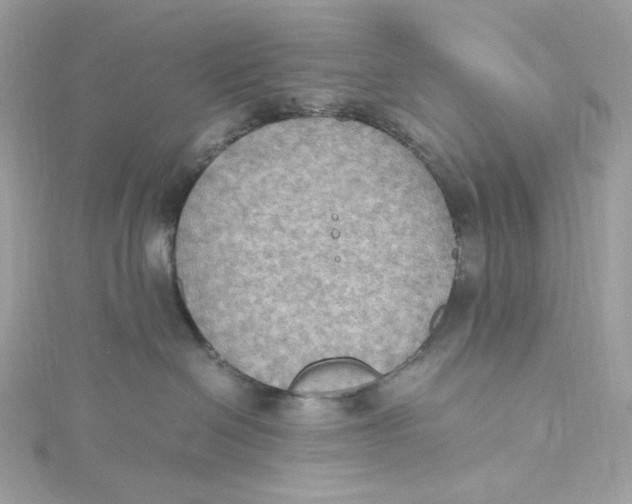 X0000115440286200911251252