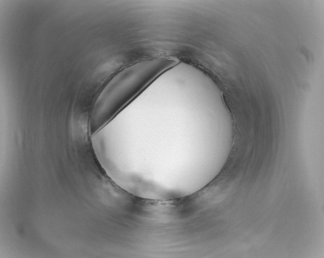 X0000115440288200911251252