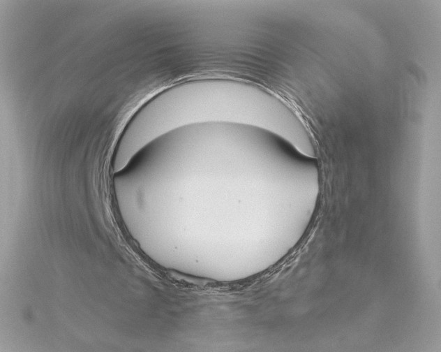 X0000115440289200911251252