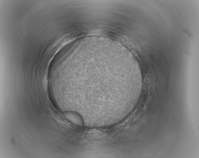 X0000115440290200911251252