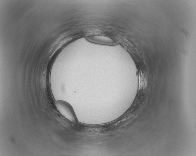 X0000115440291200911251252