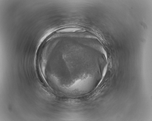 X0000115440292200911251252