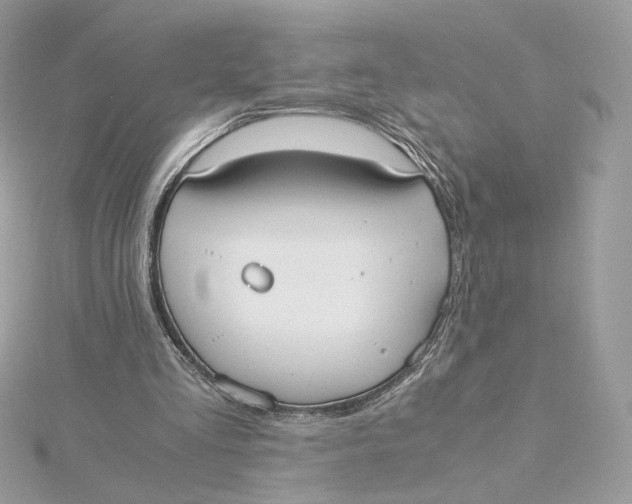 X0000115440293200911251252