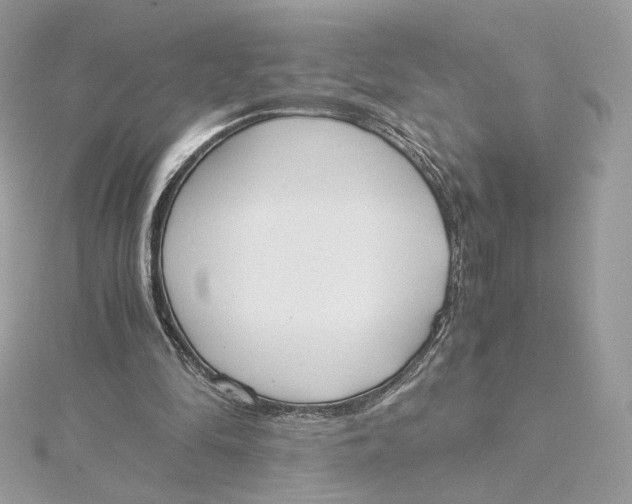 X0000115440294200911251251