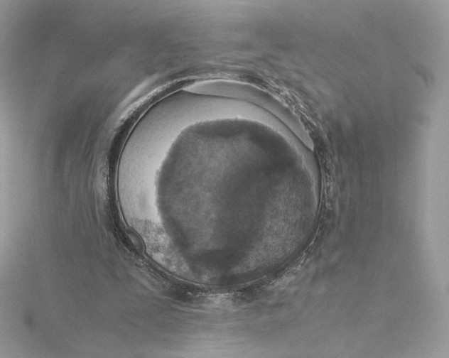 X0000115440295200911251251