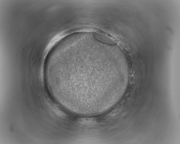 X0000115440296200911251251