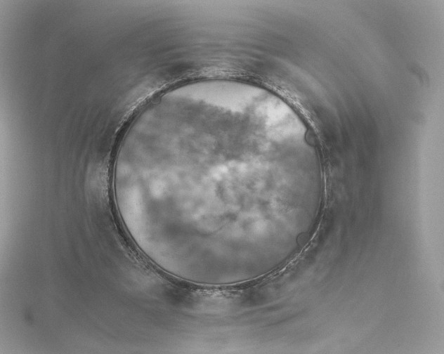 X0000115440297200911251251