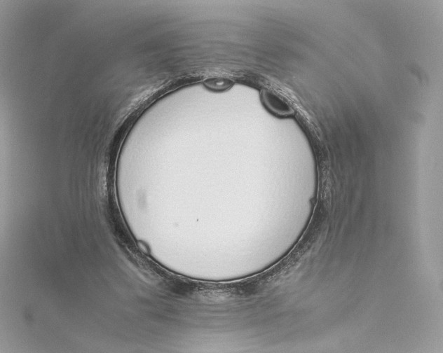 X0000115440299200911251251