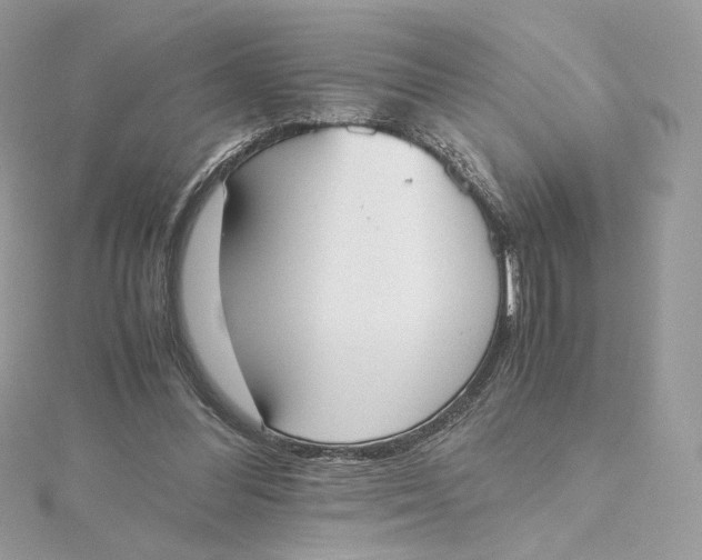 X0000115440300200911251251