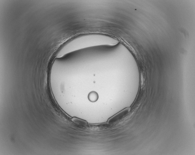 X0000115440301200911251251