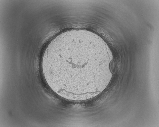 X0000115440303200911251251