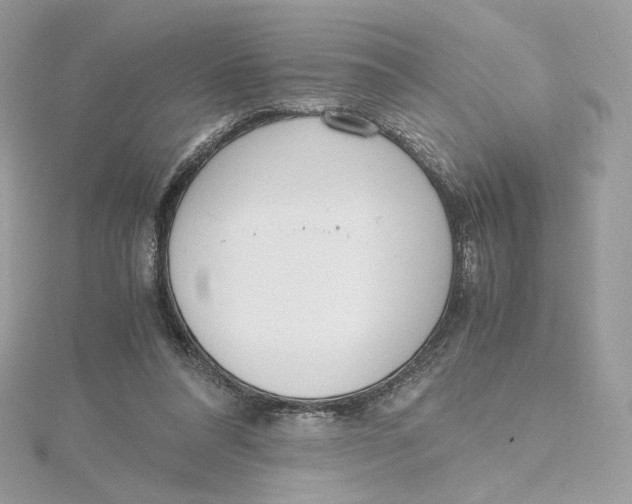 X0000115440304200911251251