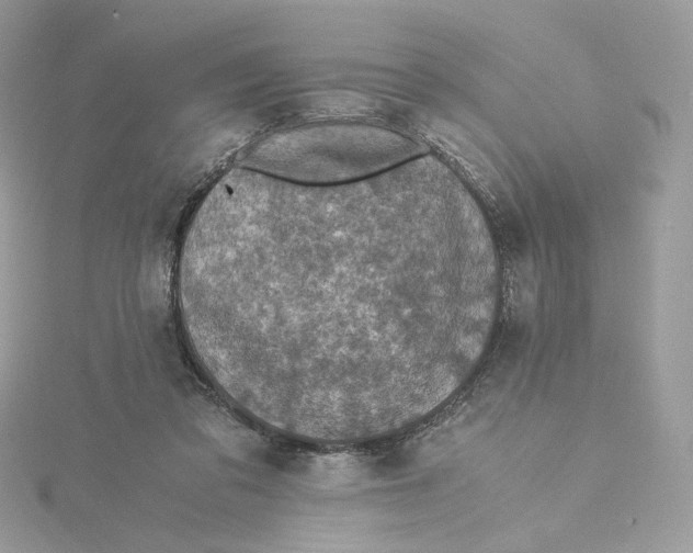 X0000115440309200911251251