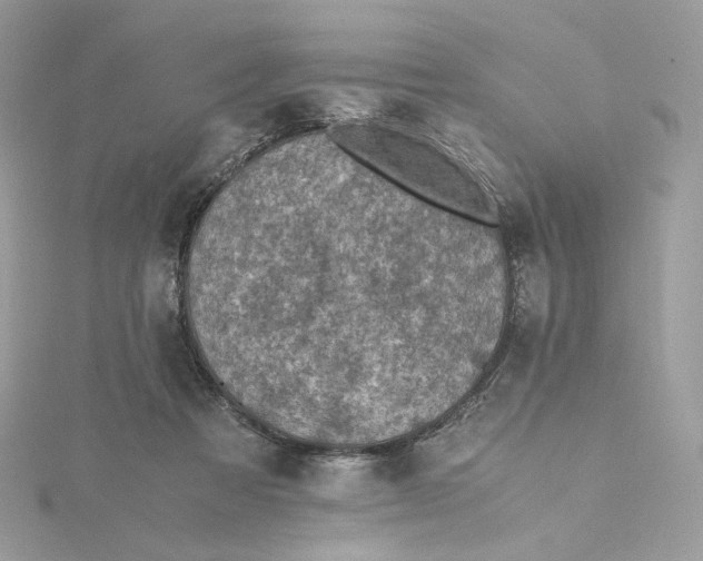 X0000115440313200911251251